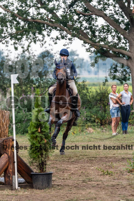De Peelbergen (August 2020)