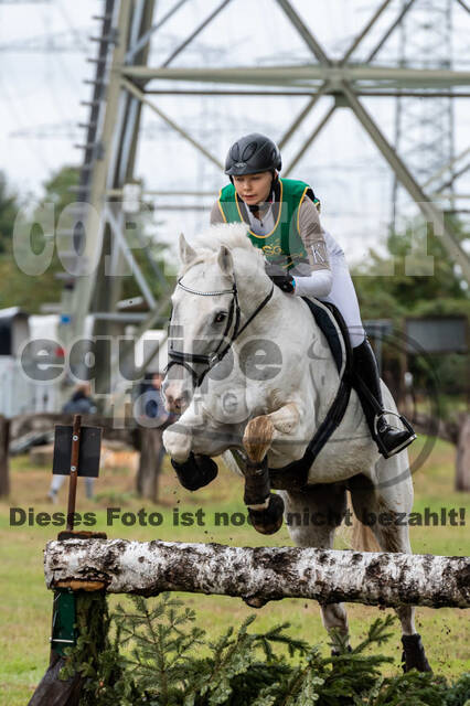 Vielseitigkeit RSV Wesel Obrighoven (26.+27.09.2020)