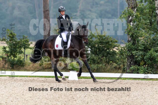 Deutsche Meisterschaft Vielseitigkeit (Luhmühlen)