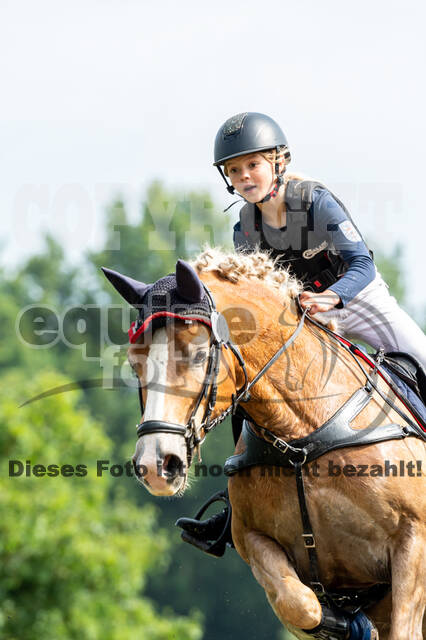 Goldene Schärpe 2021 - Ponys