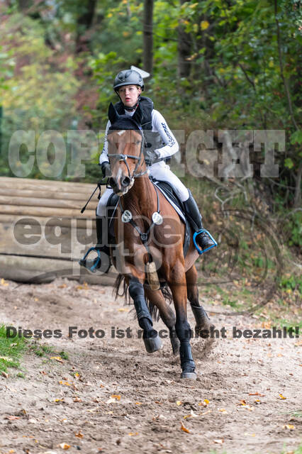 Goldene Schärpe 2020 - Pferde