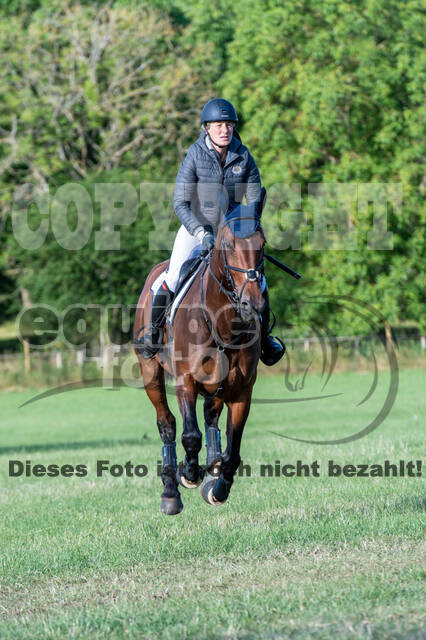 Bonn-Rodderberg Late-Entry-Vielseitigkeit (30.06.2020)