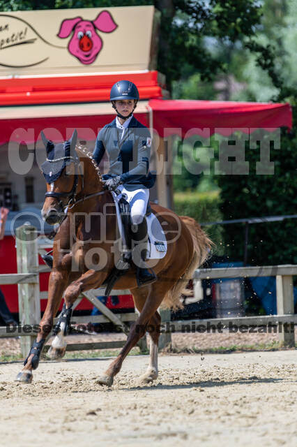 Goldene Schärpe 2021 - Ponys