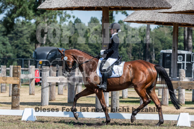 Kronenberg - De Peelbergen (August 2020)