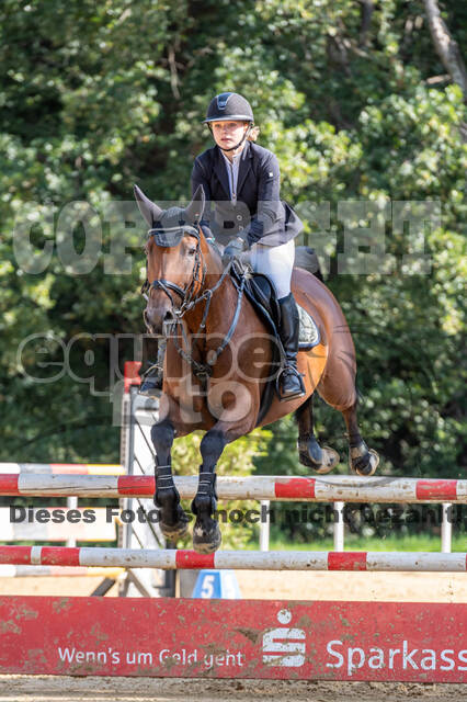 RFV Dinslaken-Hiesfeld (Herbstturnier)