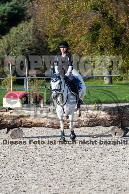 IGV Lehrgang der Sieger der Cups mit Frank Ostholt