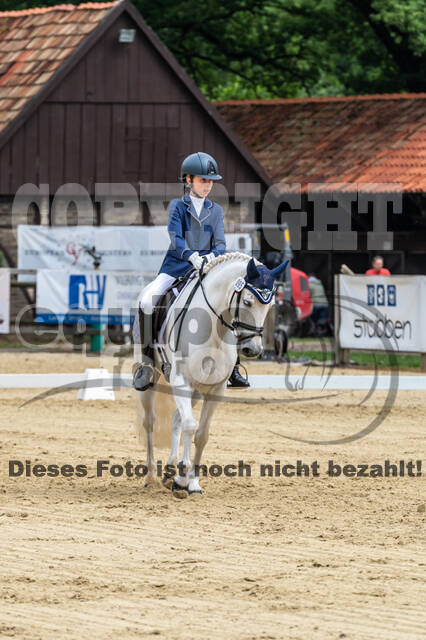 Goldene Schärpe 2021 - Ponys