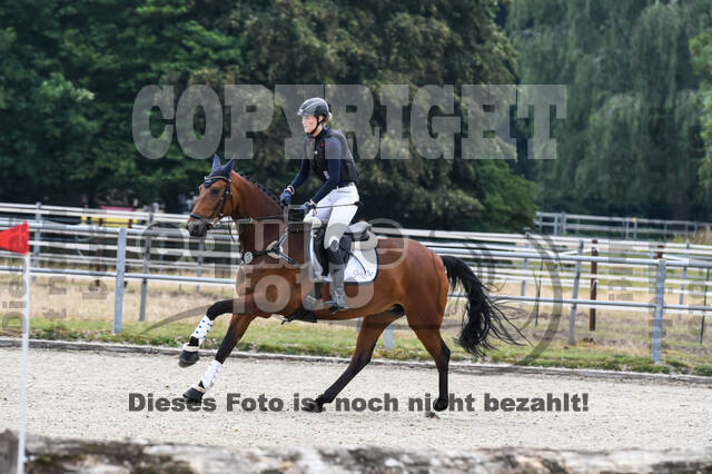 Late-Entry-Vielseitigkeit Langenfeld (11.+13./14.06.2020)
