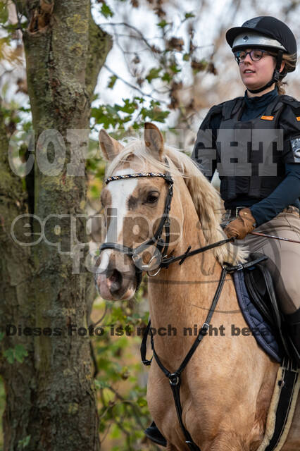 IGV Lehrgang der Sieger der Cups mit Frank Ostholt