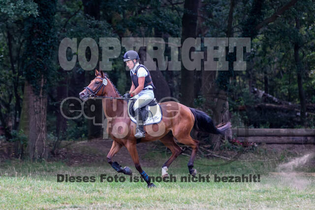 Late-Entry Vielseitigkeit Hamminkeln/Wesel (01.+02.08.2020)