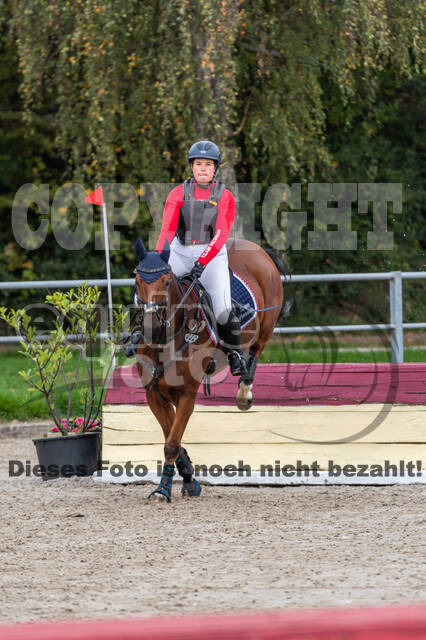 Goldene Schärpe 2020 - Pferde