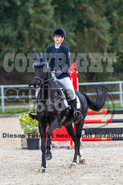 Reiter Schleswig-Holstein