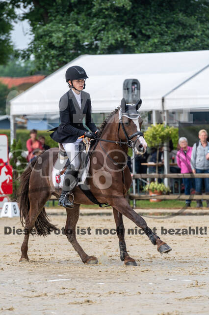 Goldene Schärpe 2021 - Ponys