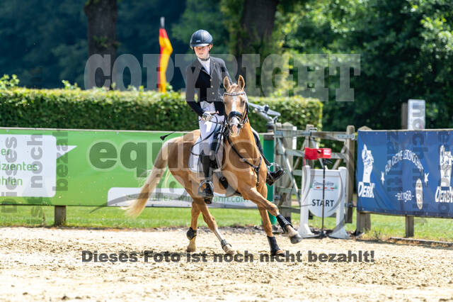Goldene Schärpe 2021 - Ponys