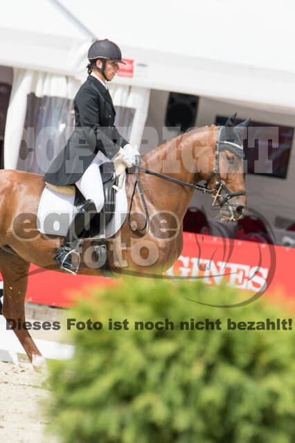 FEI European Championship Eventing 2017