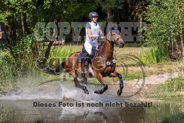 Late-Entry Vielseitigkeit Hamminkeln/Wesel (01.+02.08.2020)