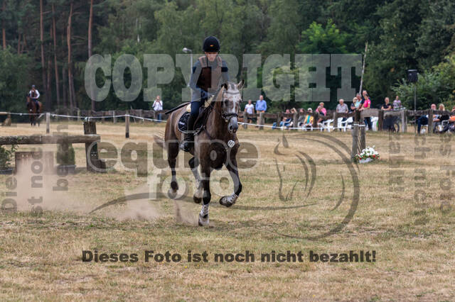 Late-Entry Vielseitigkeit Hamminkeln/Wesel (01.+02.08.2020)