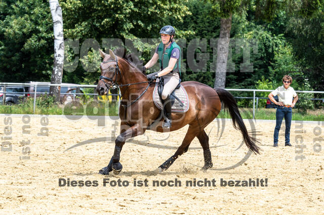 Hunter Geländetraining 10.07.2021 (Sonsbeck)