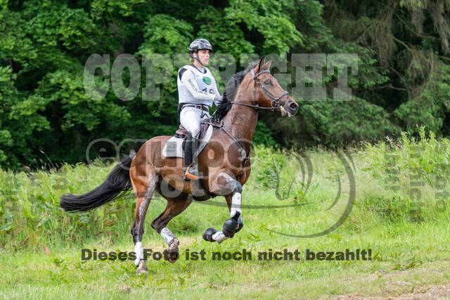 Westerstede Horse Trials 2021