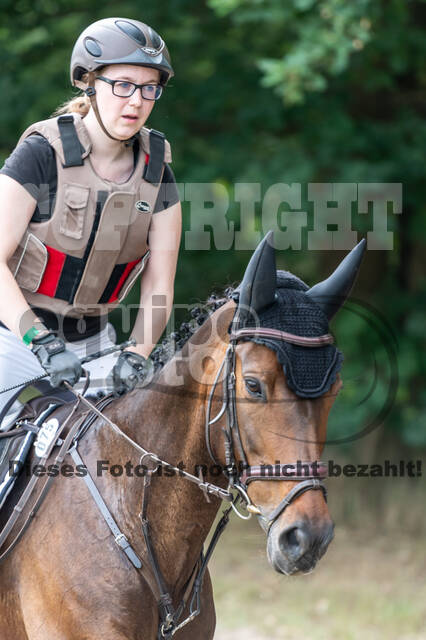 Late-Entry-Vielseitigkeit Langenfeld (11.+13./14.06.2020)