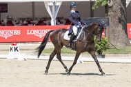 FEI European Championship