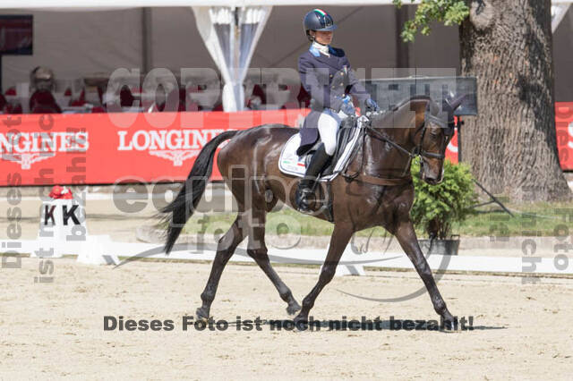 FEI European Championship