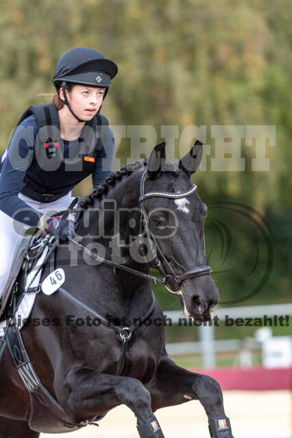 Goldene Schärpe 2020 - Pferde