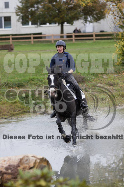 IGV Lehrgang der Sieger der Cups mit Frank Ostholt