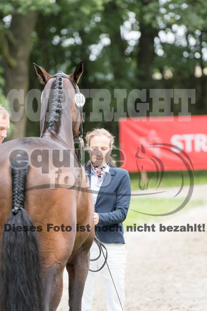 FEI European Championship Eventing 2017