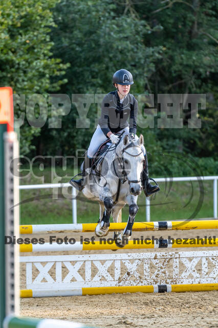 RFV Dinslaken-Hiesfeld (Herbstturnier)