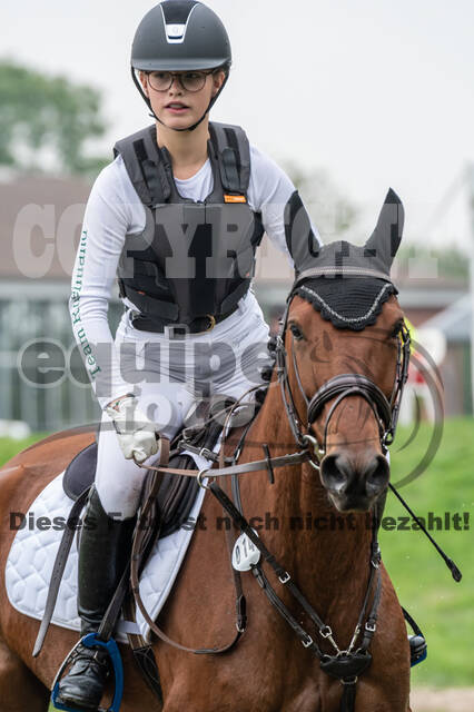 Goldene Schärpe 2020 - Pferde