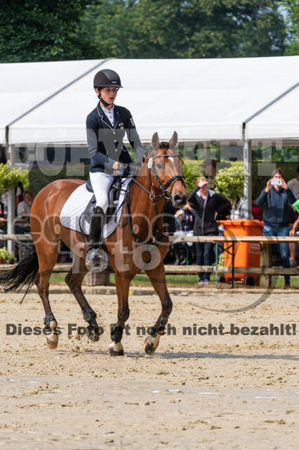 Goldene Schärpe 2021 - Ponys