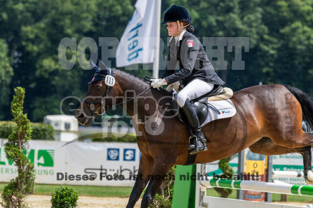 Goldene Schärpe 2021 - Ponys