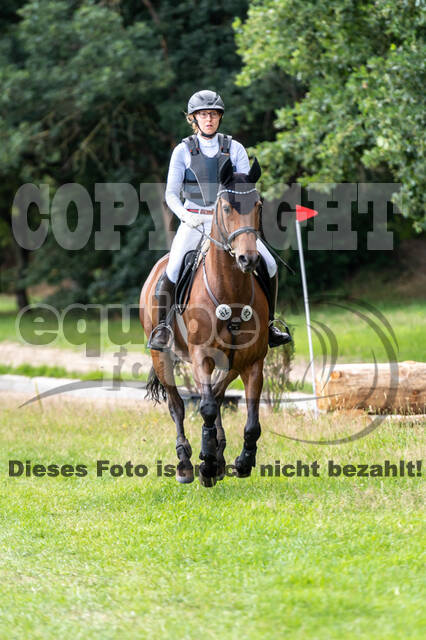 Late-Entry-Vielseitigkeit Langenfeld (06.+07.07.2020)