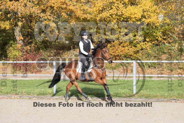 IGV Lehrgang der Sieger der Cups mit Frank Ostholt