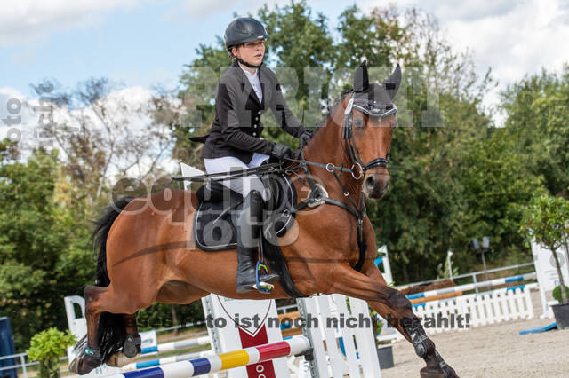 Landesturnier Rheinland, Vielseitigkeit, 22.+23.08.2020
