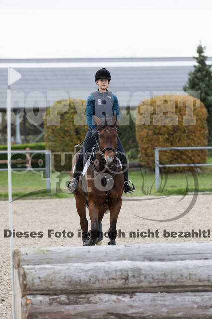 IGV Lehrgang der Sieger der Cups mit Frank Ostholt