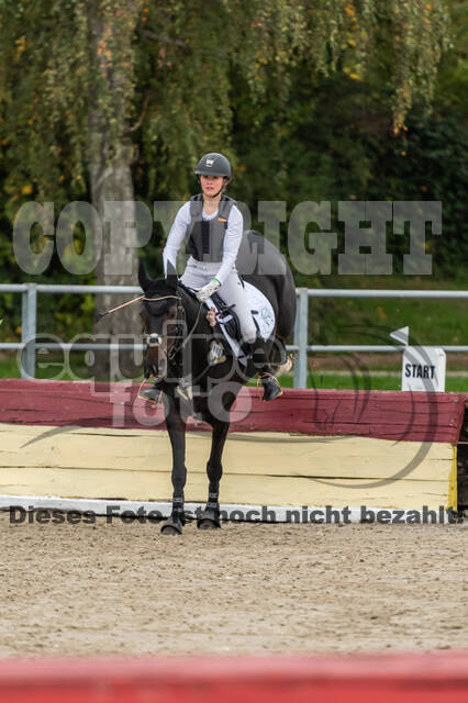 Goldene Schärpe 2020 - Pferde