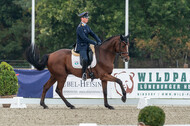 Deutsche Meisterschaft Vielseitigkeit (Luhmühlen)