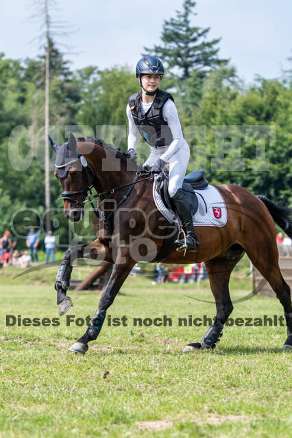 Goldene Schärpe 2021 - Ponys