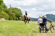 Bonn-Rodderberg Late-Entry-Vielseitigkeit (30.06.2020)