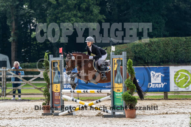 Goldene Schärpe 2021 - Ponys