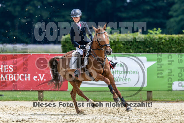 Goldene Schärpe 2021 - Ponys