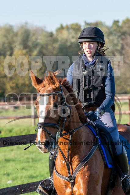 Vielseitigkeitslehrgang mit Jürg Kurbel (9.+10.11.2019)