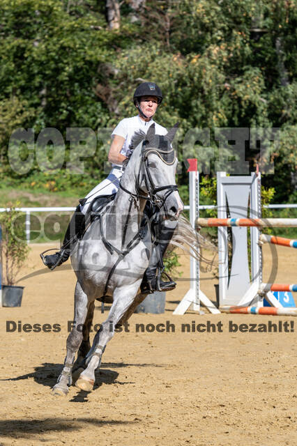 RFV Dinslaken-Hiesfeld (Herbstturnier)