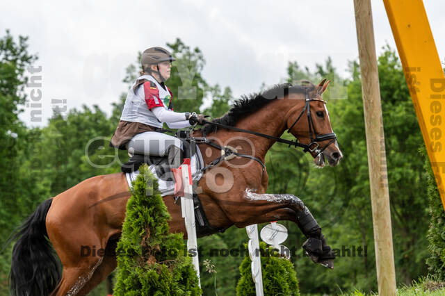 Westerstede Horse Trials 2021