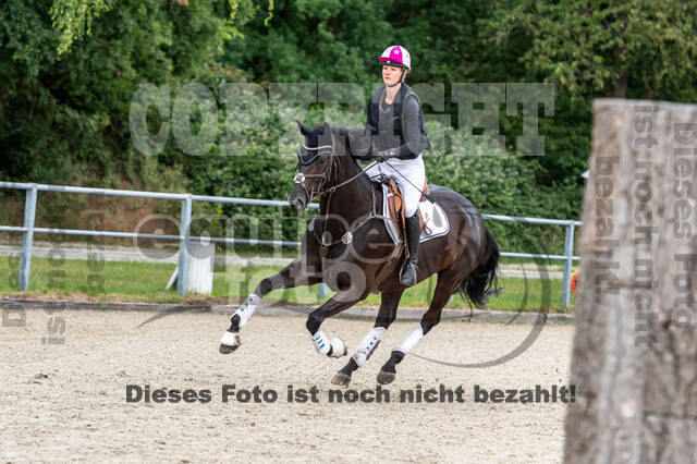 Late-Entry-Vielseitigkeit Langenfeld (11.+13./14.06.2020)