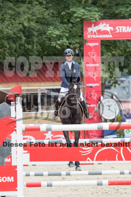 FEI European Championship