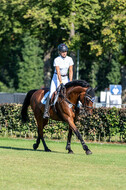 Kronenberg - De Peelbergen (August 2020)