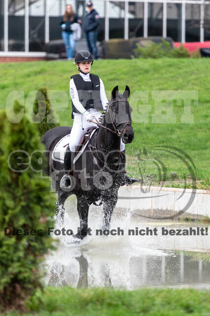 Goldene Schärpe 2020 - Pferde